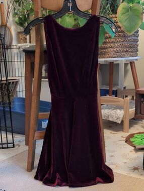 American Apparel Velvet Sleeveless Mini Dress in Deep Burgundy